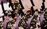 25-Taormina,12 aprile 1998